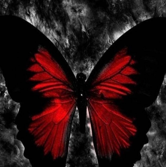 Meet your Posher, Donna - Picture 1 of 1